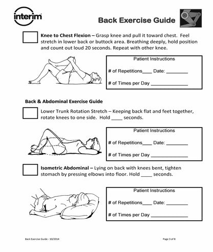 Back Exercise Guide