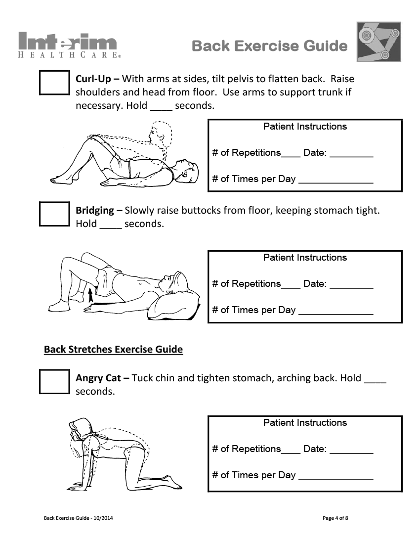 Back Exercise Guide