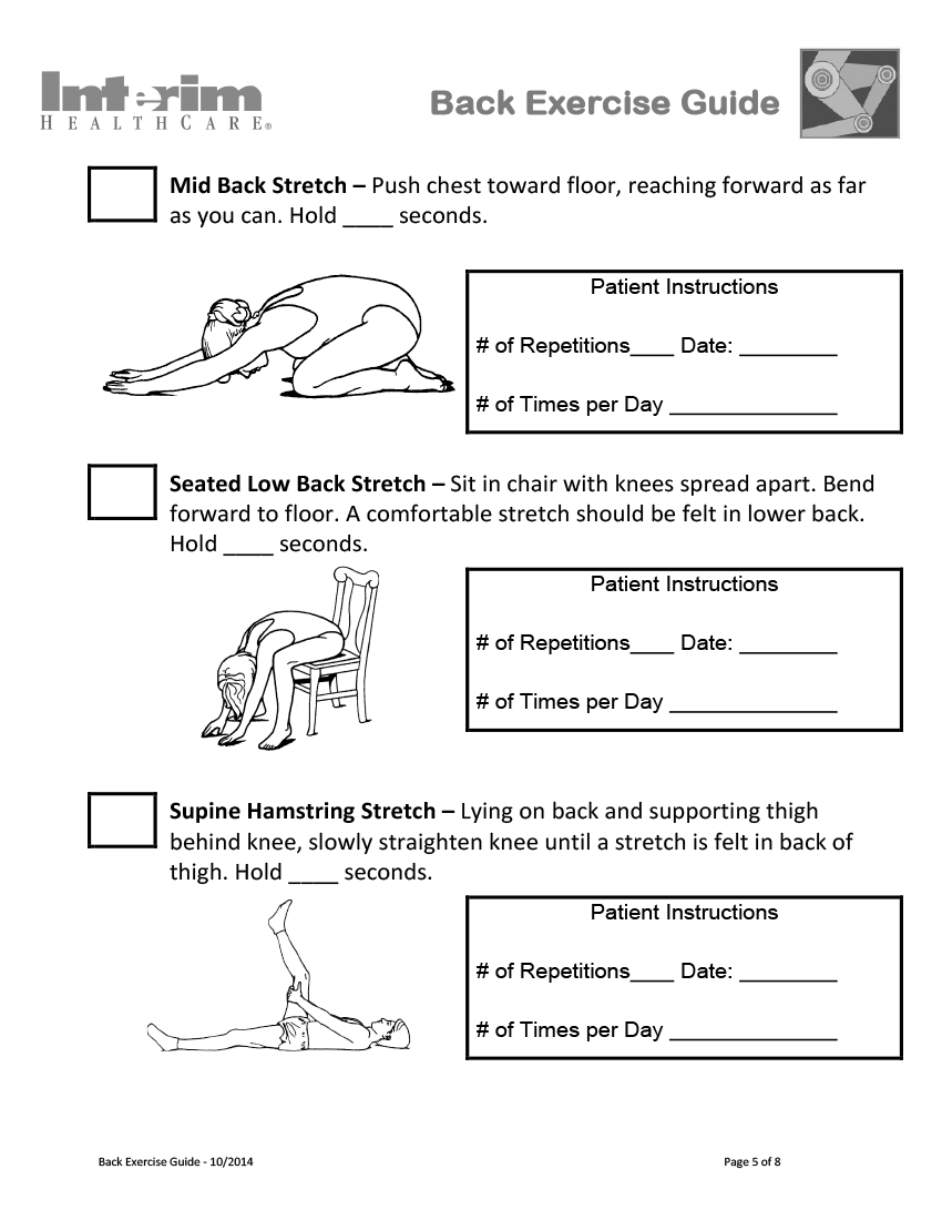 Back Exercise Guide